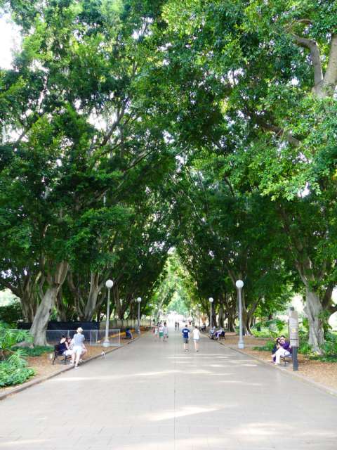 Avenue in Hyde Park