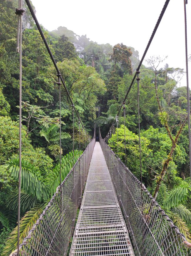 Místico Hanging Bridges (29.4.22)