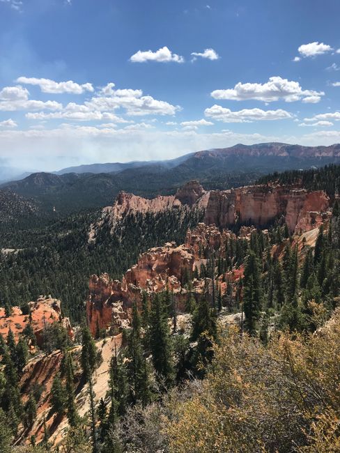 Fire in Bryce Canyon