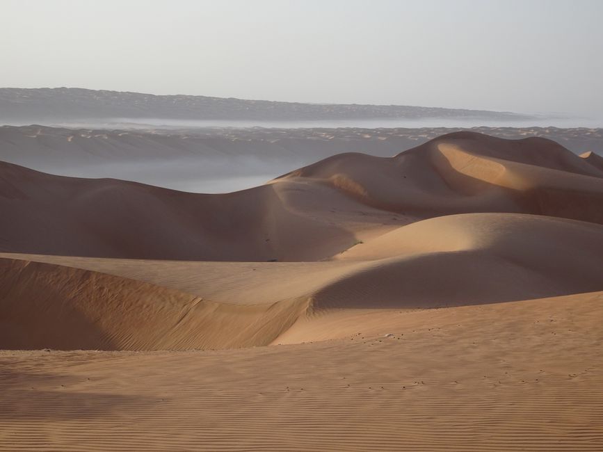 Morgennebel in der Wüste