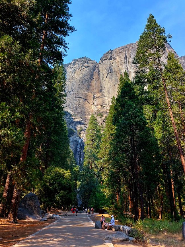 Dead-dry Yosemite Falls