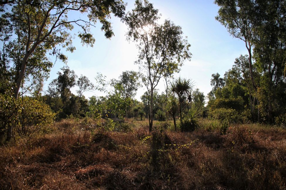 Tag 24: Heiß - heißer - Kakadu Nationalpark