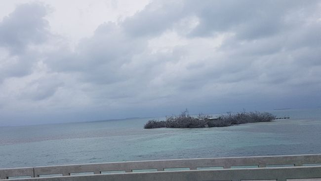 Tag 13 - Li ser riya Key West