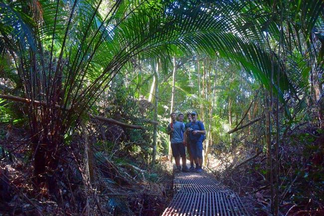 Malaysien: mit den Pointls in den Dschungel