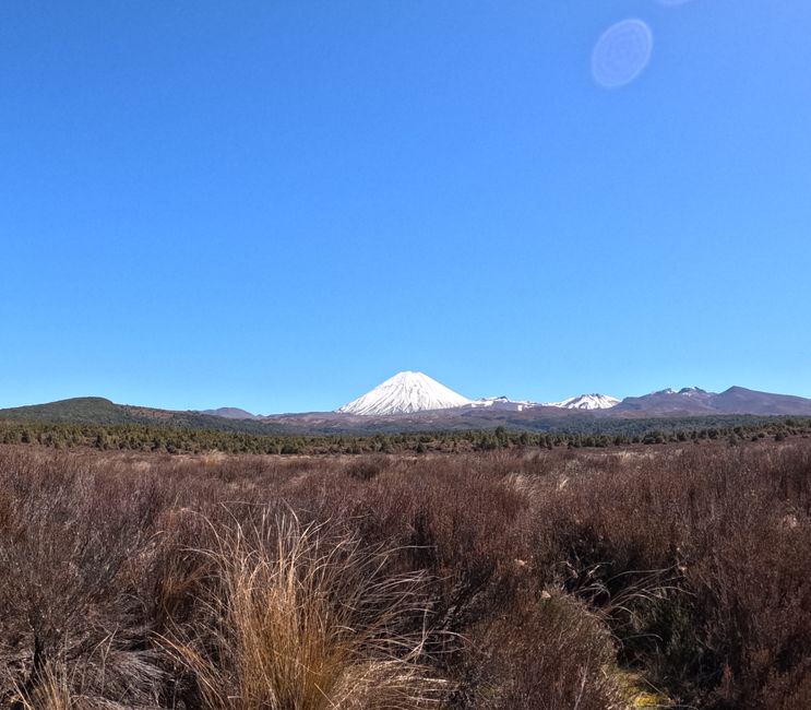 Day 23 & 24 - Wellington - Mount Ruapehu - Mount Viktoria - Harbor - Lord of the Rings (Mountain of Destiny, "Get off the Road!", "Frodo's Tree")