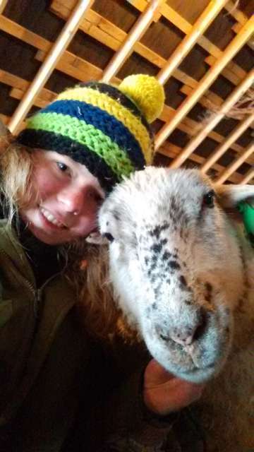 This is Frosti, the most cuddly sheep there is. Frosti's ear froze off when she was a baby, so now she only has one. Frosti is the only sheep that always comes running and wants to be petted.