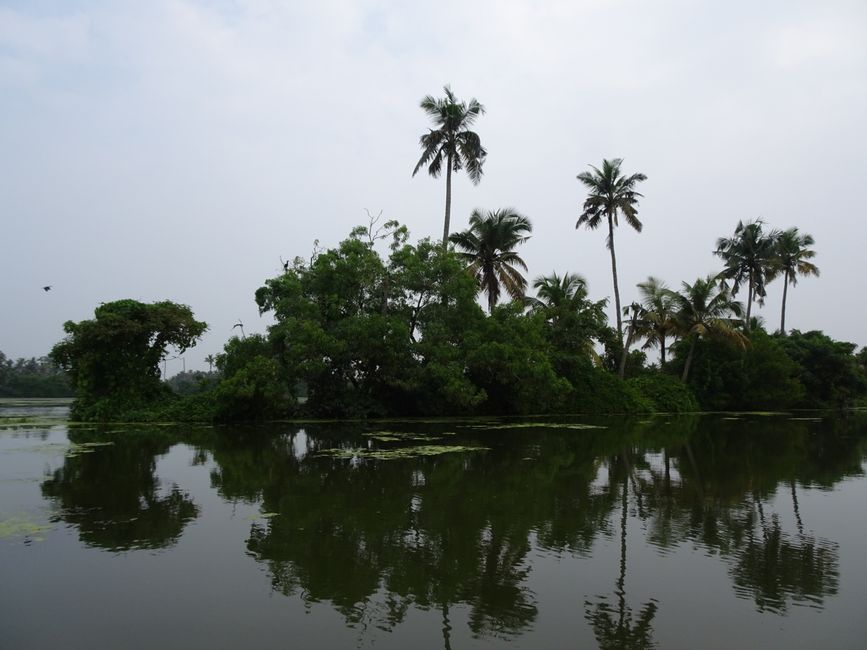 Die Backwaters bei Kochi