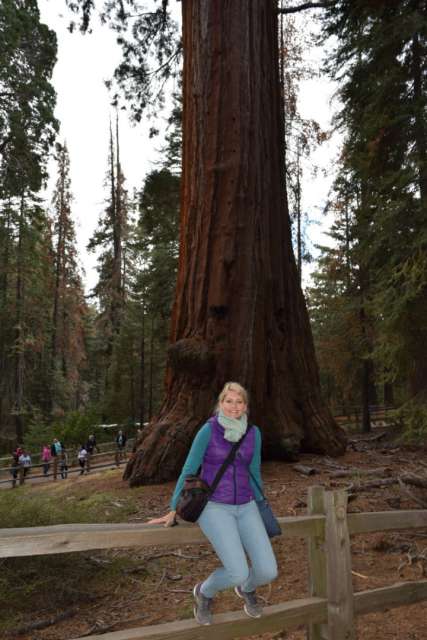 טאַג 18 Sequoia National Park