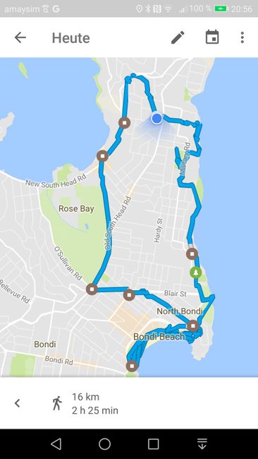Hike to Bondi Beach