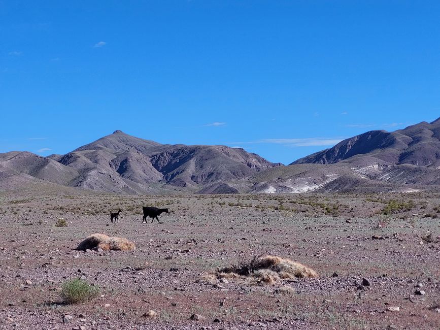 San Pedro tsib Atacama