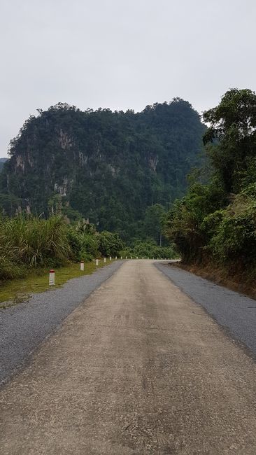 Phong Nha