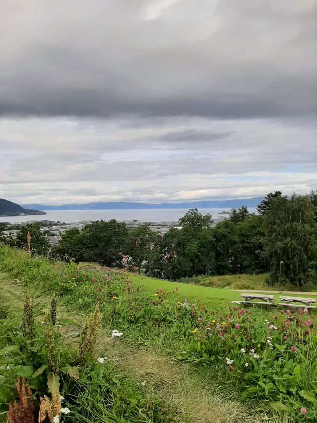 Ausblick über die Trondheimfjorden