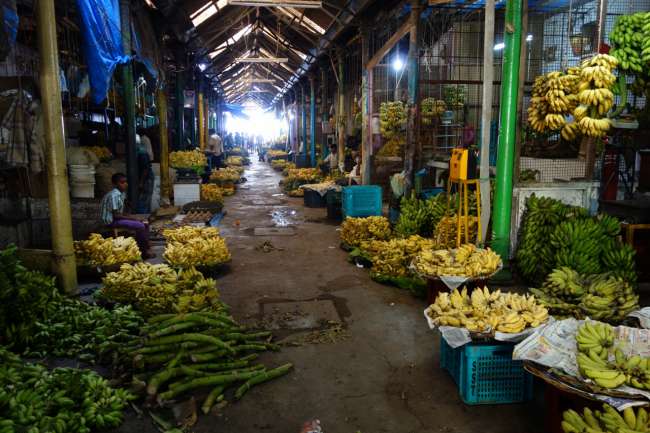 Bananas in all shades of yellow and green at the market in Mysore