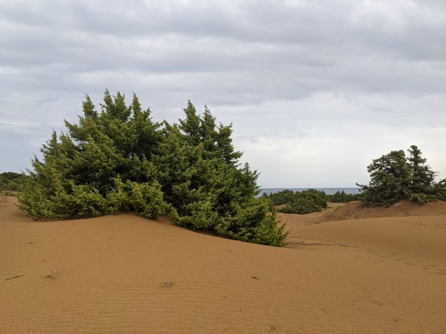 then into a lonely dune area