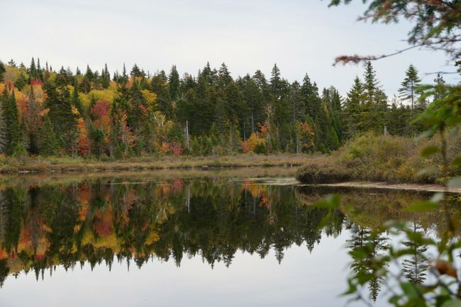 3.10. Mauricie National Park - Play of colors