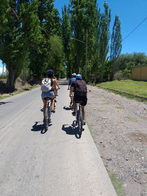 Mendoza - Wine & Bike