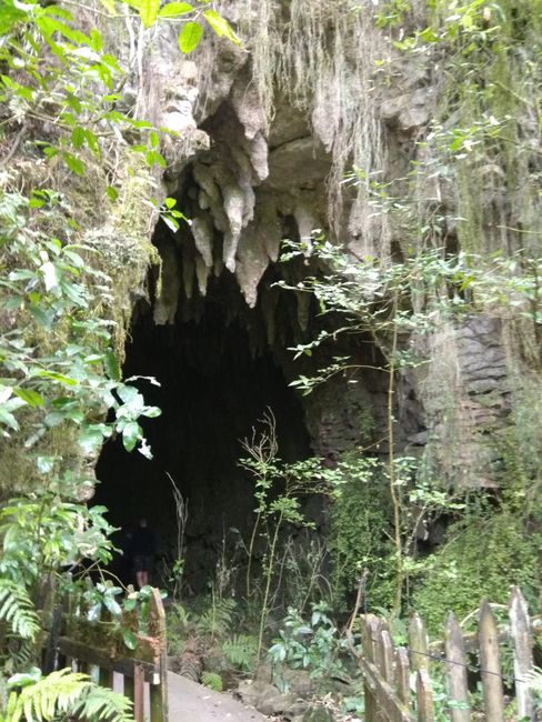 Cave entrance in Waitomo