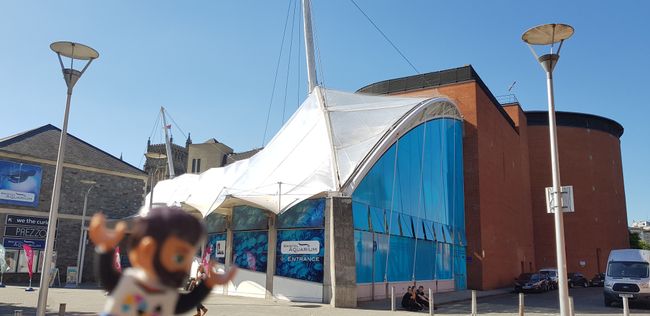 Das sehenswerte Bristol Aquarium