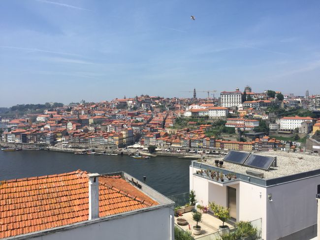 Porto & Port Wine
