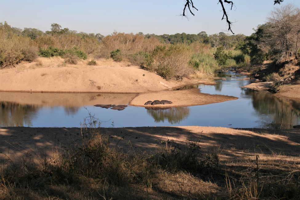 Letsatsi la 15: Ho tloha Kruger NP ho ea Marloth Park