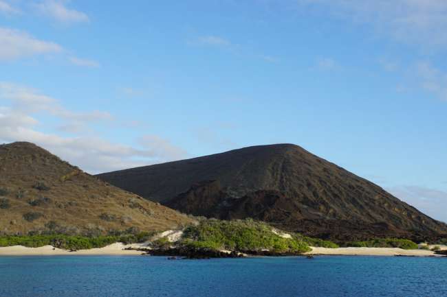 Galapagos & Ecuador: Hello sea lion, may I sit next to you?