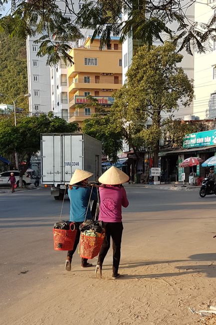 Vietnam: Cat Ba und Hanoi