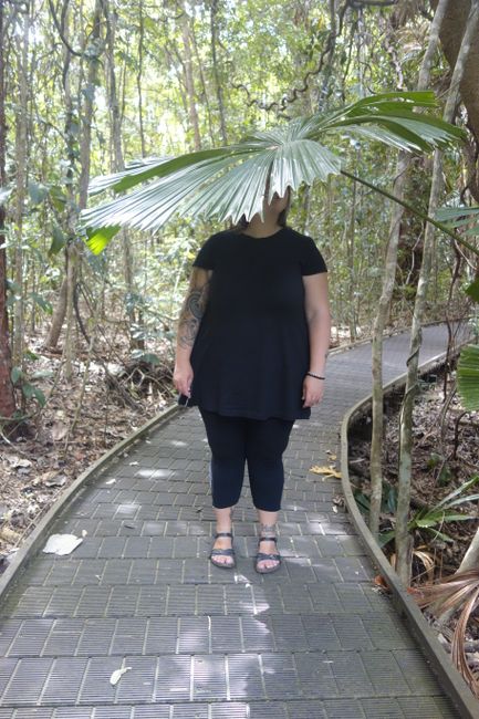14.08.19 - 20.08.19 Daintree Rainforest and heading south