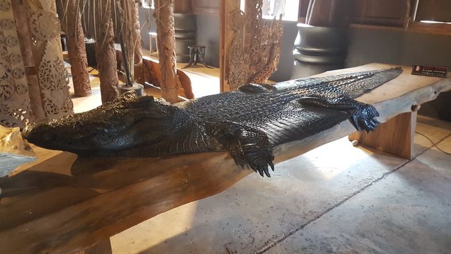 Krokodile können echt riesig werden.