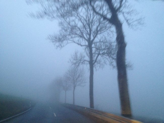 Luxemburg im Nebel - 25. Januar