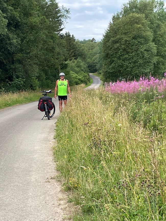 Through the High Fens to the Luxembourg border in Wallonia, Day 2