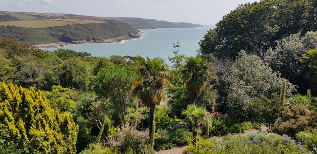 Salcombe and Plymouth