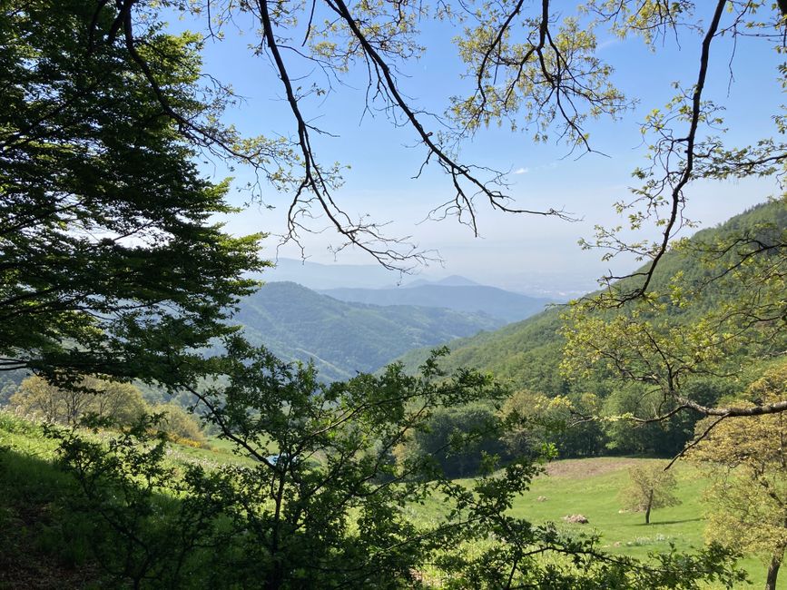 Fast oben am Passo degli Acandoli