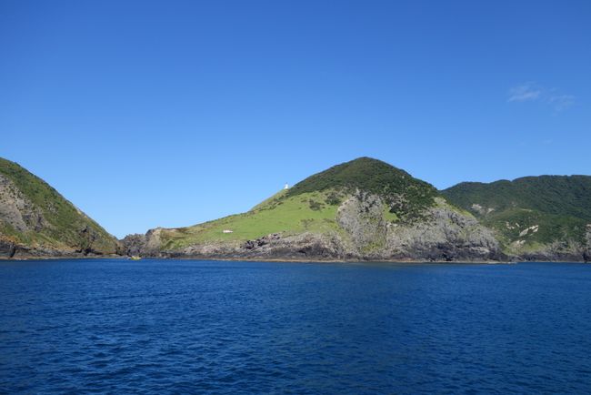 Tag 17 • Whitianga (Coromandel) - Paihia (Bay of Islands)