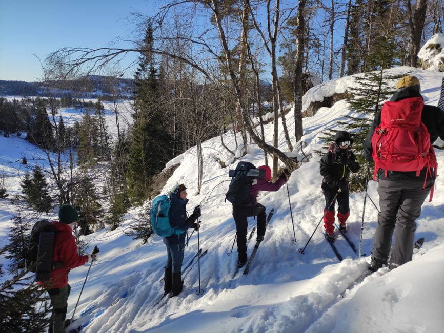 Basis-Kurs im Mountain Cross Country Skiing