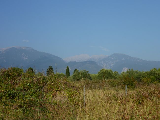 view of Mount Olympus
