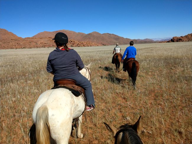 Horseback riding at Koiimasis Ranch
