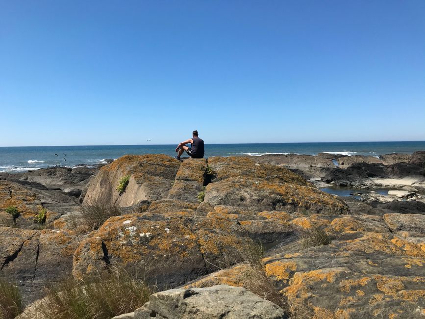 Dare un'occhiata al mare