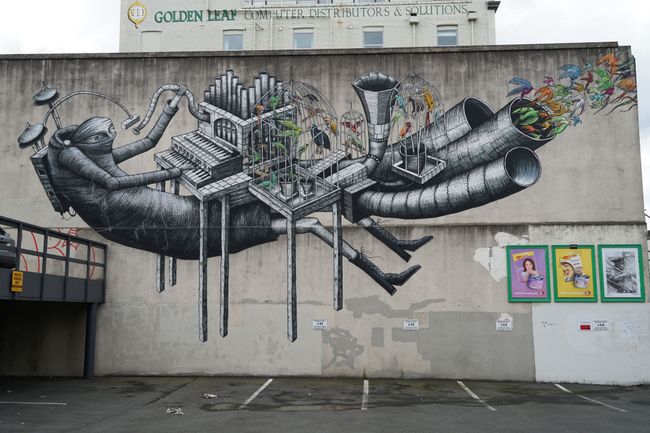 Street Art in Dunedin