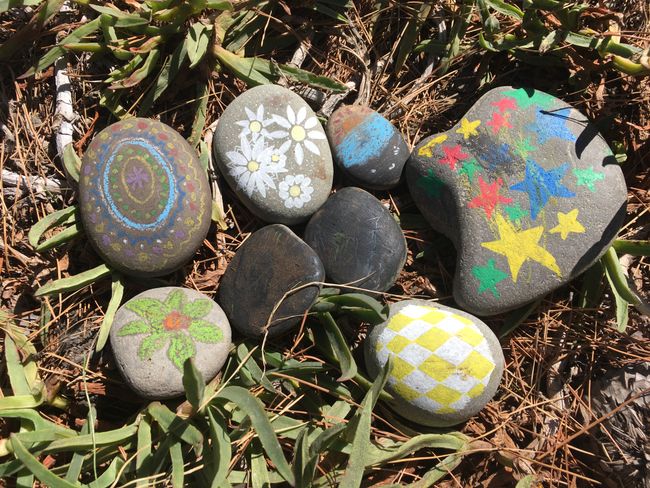 Other people have also painted stones - freedom campground 'Wairau Diversion' - near Blenheim