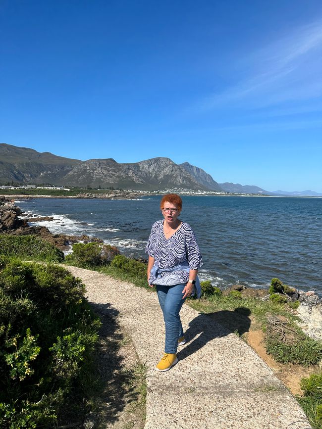 Hermanus ♥️