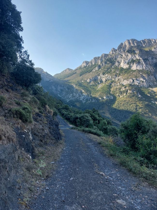 Camino Lebanon