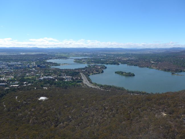 morning platypus search and Canberra (Australia part 28)