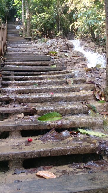 Tad Kuang Si: Wasserüberströmte Treppenstufen auf dem Weg nach oben