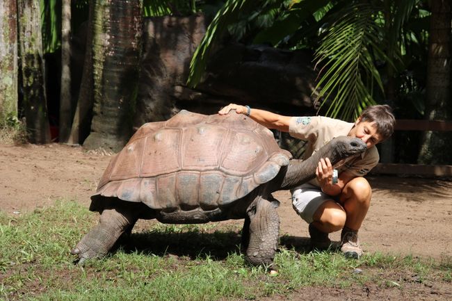 Australia Zoo - Wer kennt ihn noch, den Crocodile Hunter: Steve Irwin
