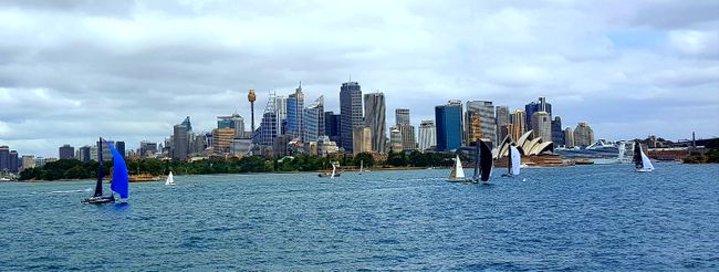 Sydney: North Shore Harbour Hustle