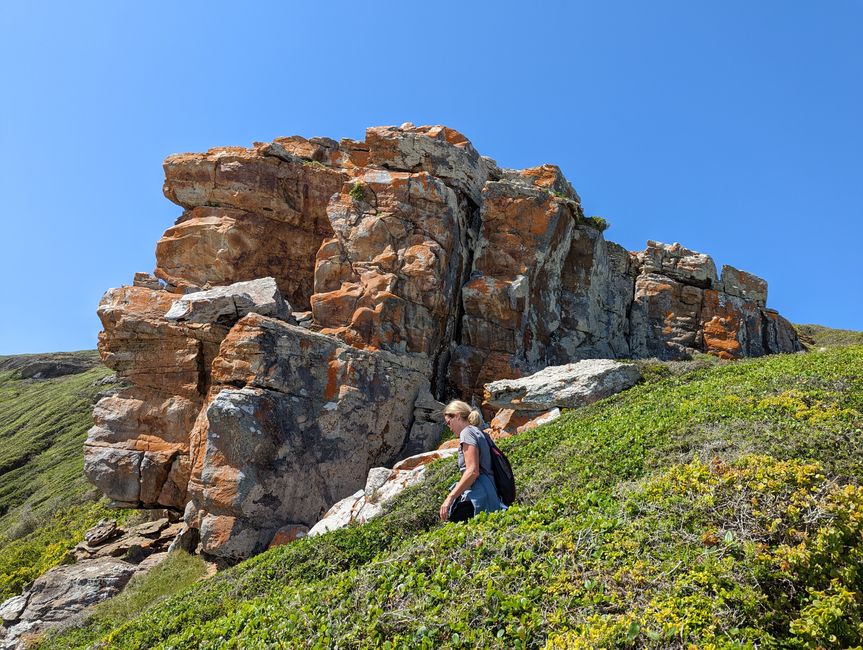 Plettenberg Bay/Robberg Nature Reserve