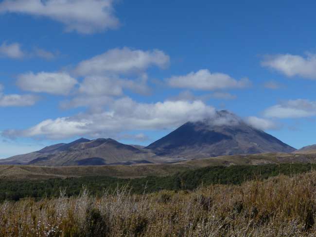 View of the typical volcanic shape: Mount Ngauruhoe
