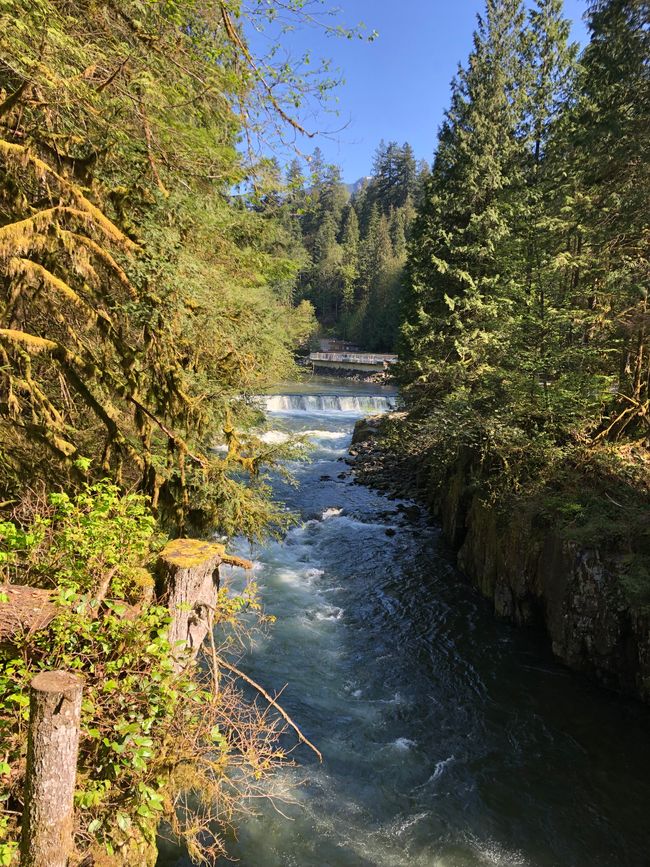 Capilano River and Lookouts