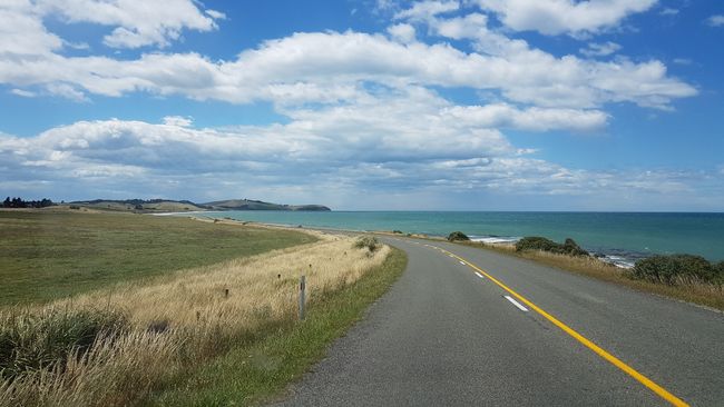 From Nugget Point to Arthurs Pass