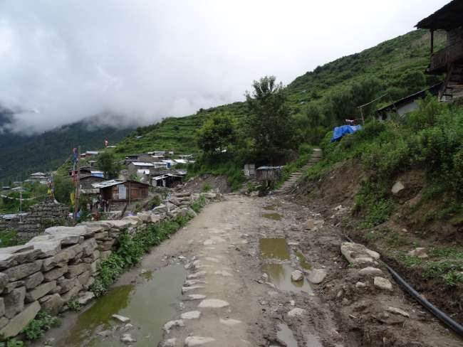 Nepal: ...bis  zum Himalaya: Trekking im Nationalpark Langtang